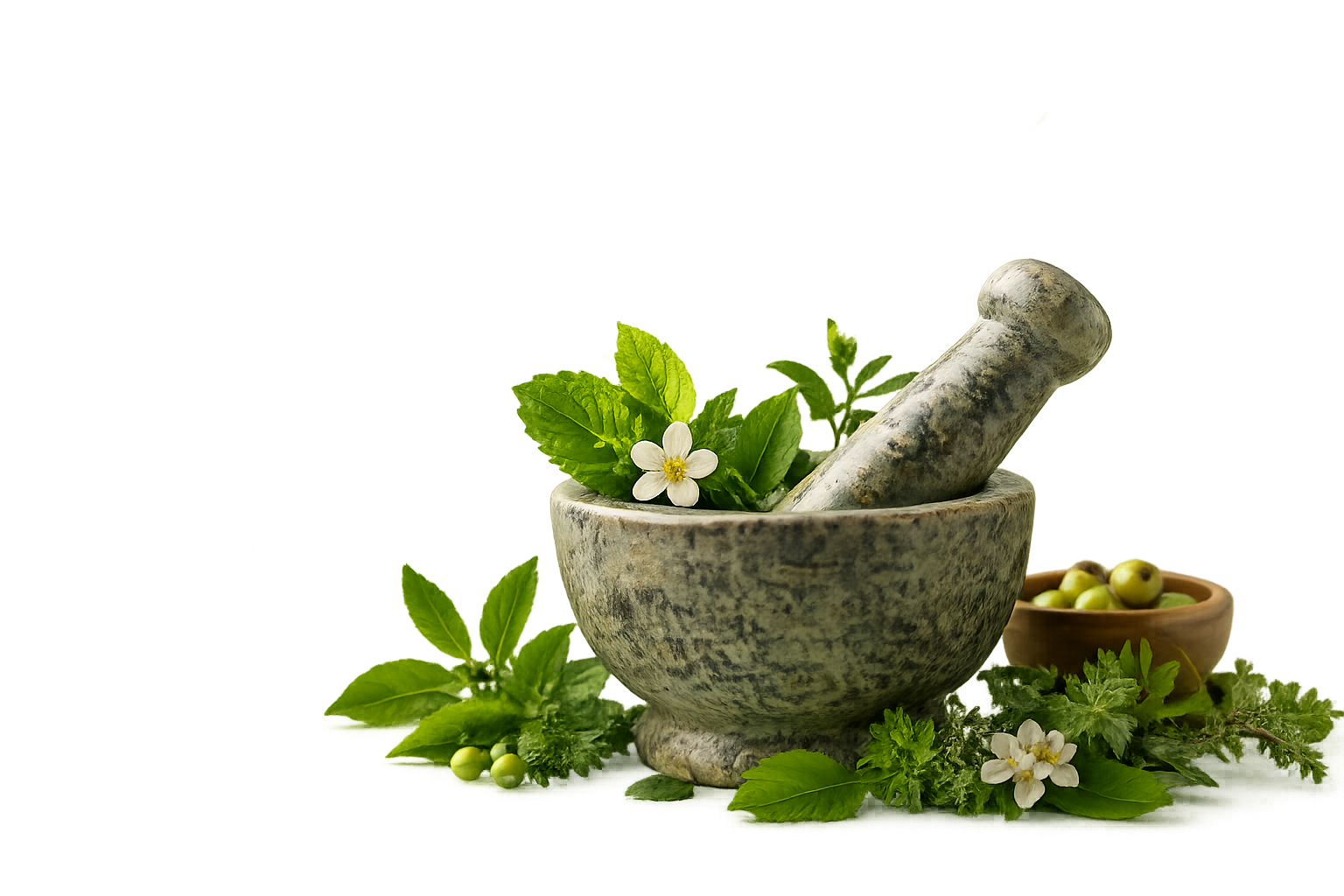 Home ayurvedic supplements - ayurseed 1